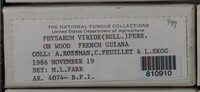 Image Associated With the Occurence